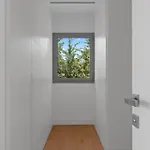 Mariposa *
